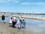 有田川干潟観察会