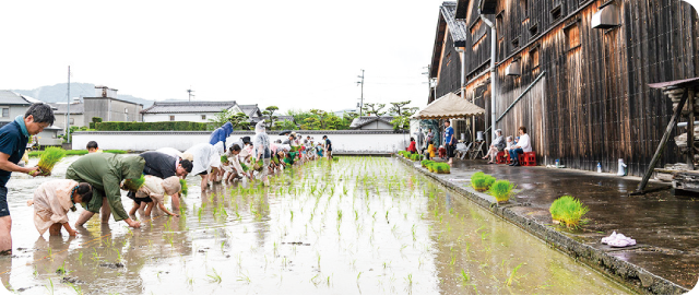 𠮷村秀雄商店 6月15日(日) 田植え体験イベント