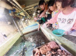 魚にエサをやろう