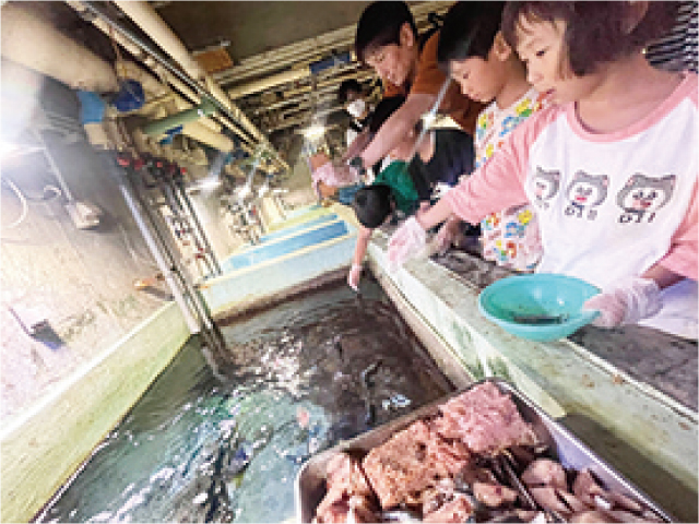 魚にエサをやろう