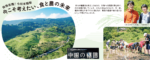リビング和歌山2025年5月24日号「価格高騰！令和米騒動 今こそ考えたい、食と農の未来」