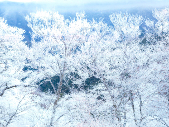 NP「和」(なごみ)風景写真展