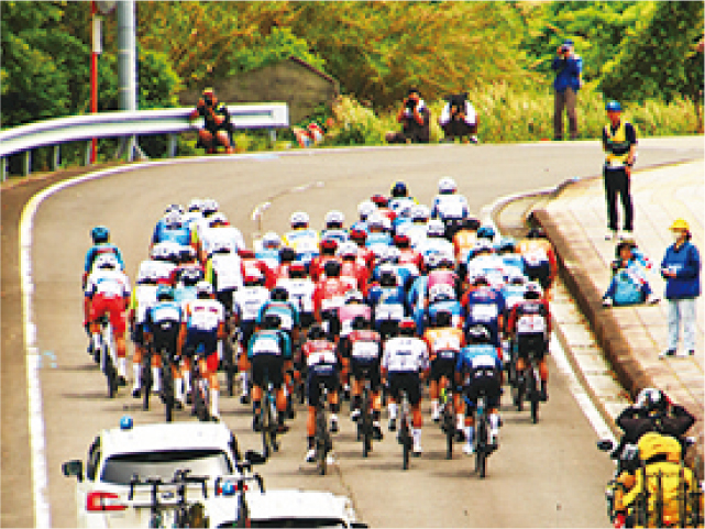 ワカメセン2025 カラフル