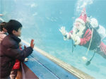 サンタが大水槽にやってくる！！