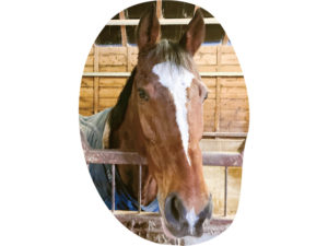 ブロードスター