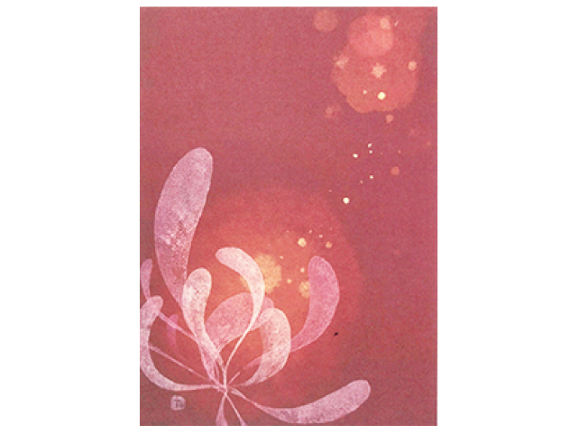 えかわたえこ/Tao個展