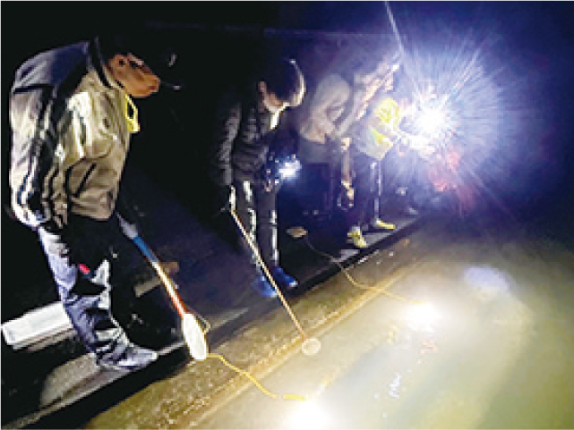 光で魚を集めよう