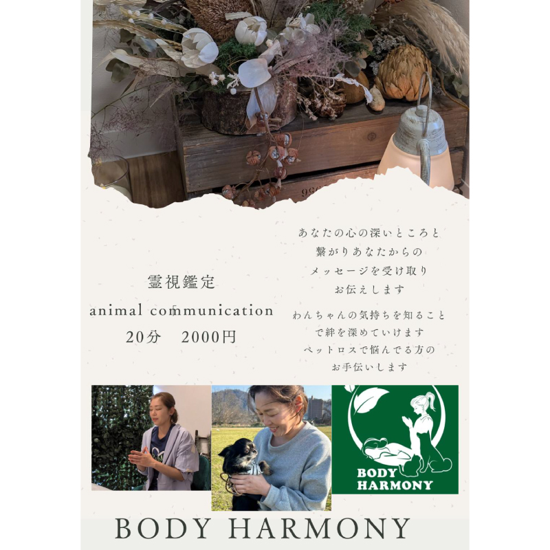 BODY HARMONY