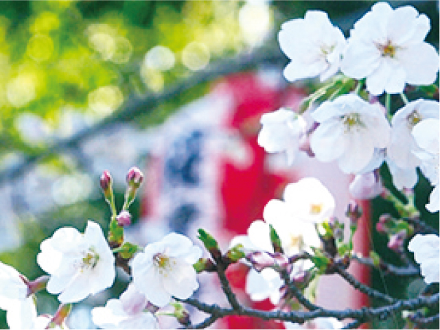 カメラ撮影基本講座