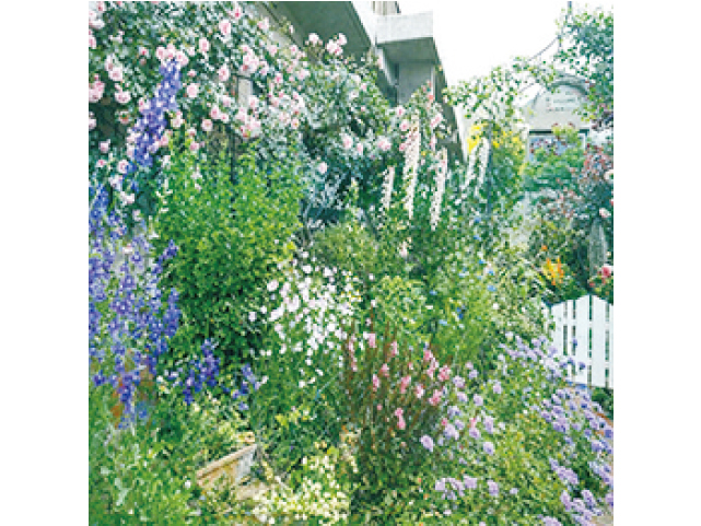 オープンガーデン