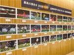 SAMURAI BLUE(ブルー)写真展