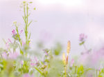 キヤノンフォトクラブ和歌山写真展