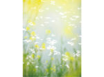 写真展「エモーショナル・シーン」